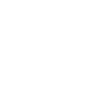 Necessary documents for the Carrier